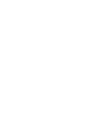 2020 Travelers Choice TripAdvisor Logo